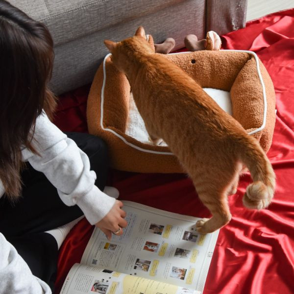 【聖誕限定】聖誕寵物貓窩 