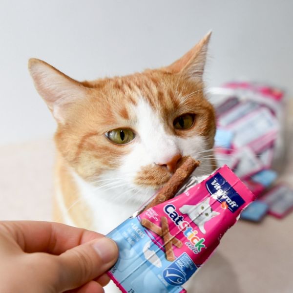 3折出清【短效最低價出清】Vita衛塔卡夫貓快餐mini 鮭魚口味4g*50片 