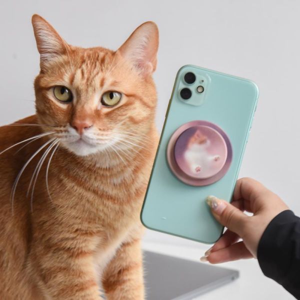 【質感貓系小物】霧面猫咪Magsafe磁吸手機支架 