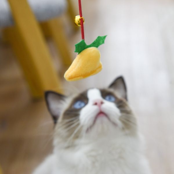 【主子聖誕禮物】聖誕限定逗貓棒 *全館滿額隨機送一支* 聖誕限定送完為止 