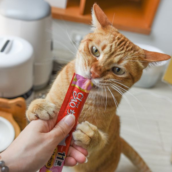 【活動贈品】CIAO啾嚕貓肉泥桶 50入 