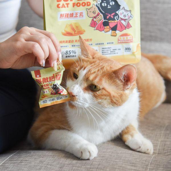 【我把無敵貓糧變小了】無敵小貓糧立體造型鑰匙圈 