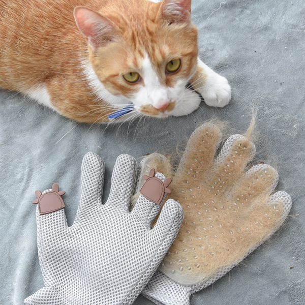 【除廢毛神器】升級版擼毛手套(貓狗通用) 