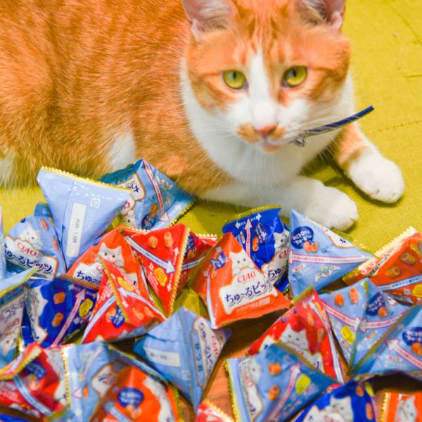 【活動贈品】CIAO夾心肉泥捲1包15入 