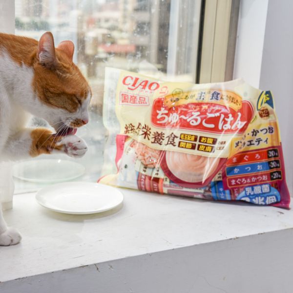 *限量20包 CIAO 乳酸菌 綜合營養主食功效肉泥60入 