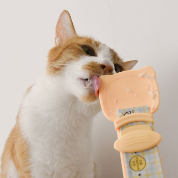 【餵泥不沾手】貓肉泥餵食器 