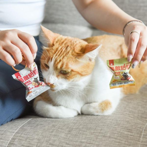 【我把無敵貓糧變小了】無敵小貓糧立體造型鑰匙圈 