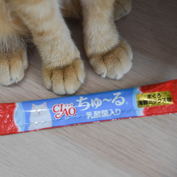 【活動贈品】4000億乳酸菌CIAO肉泥40入*隨機口味* 