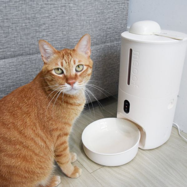 *82折 現折765!!【主子的吃播神器】meoof蛋捲餵食器 視訊版 自動餵食機 