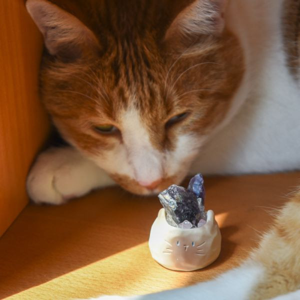 【專屬你的開運水晶】貓貓水晶原礦盲盒 