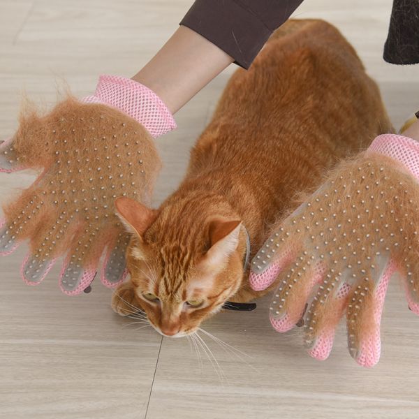 【除廢毛神器】升級版擼毛手套(貓狗通用) 