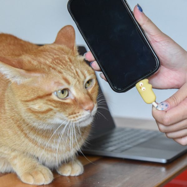 【快速回血充飽電】軟萌小貓快充數據線 