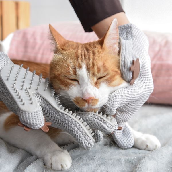 【除廢毛神器】升級版擼毛手套(貓狗通用) 