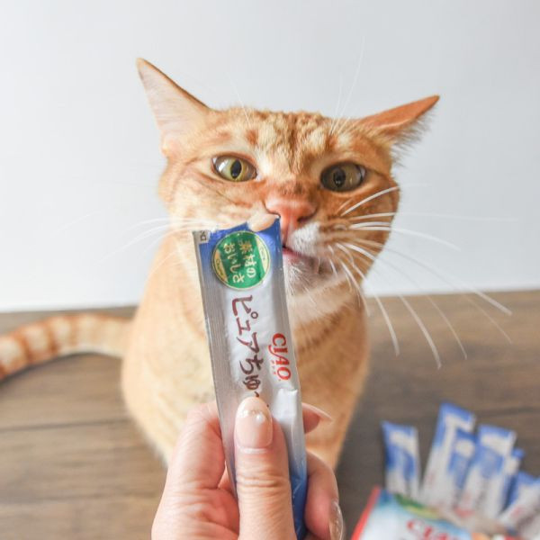 活動贈品 PURE純萃啾嚕20入*2包* 