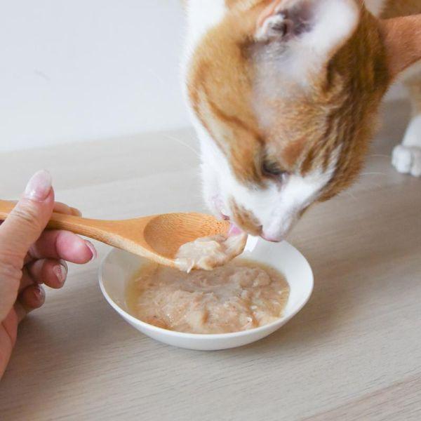 【活動贈品】小玉貓餐包三入組 
