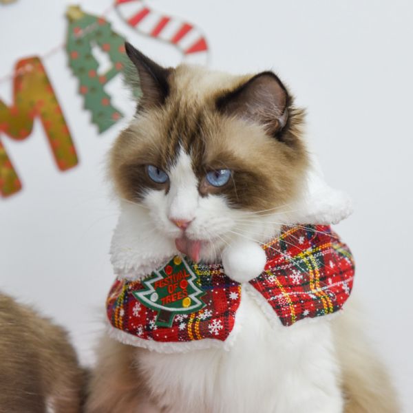 【主子聖誕限定】主子聖誕小披風 *全館滿額隨機送一套* 數量有限送完為止 