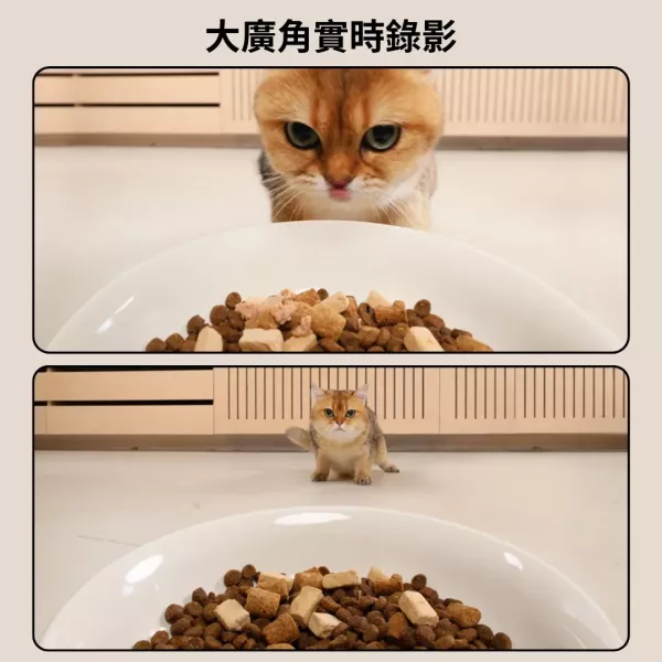 *82折 現折765!!【主子的吃播神器】meoof蛋捲餵食器 視訊版 自動餵食機 