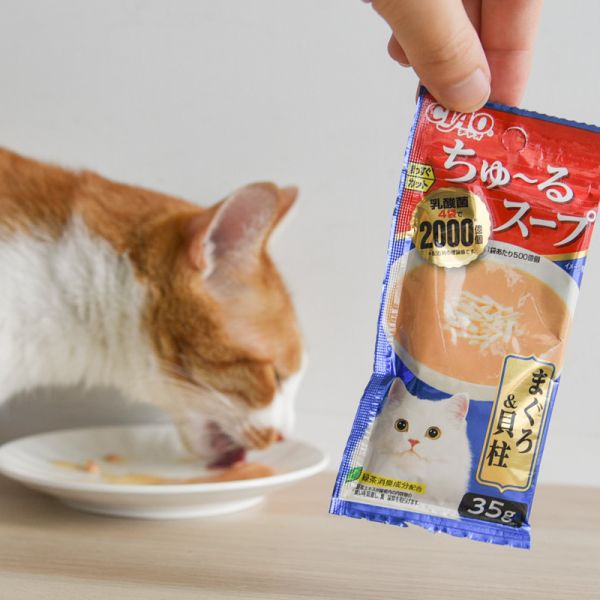 【貓的愛的那一串】CIAO四連串湯包 