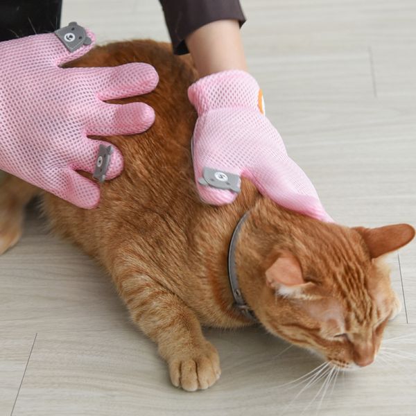 【除廢毛神器】升級版擼毛手套(貓狗通用) 