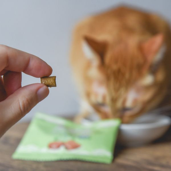 【專為貓貓打造】貓咪小點心 機能夾心餡餅 