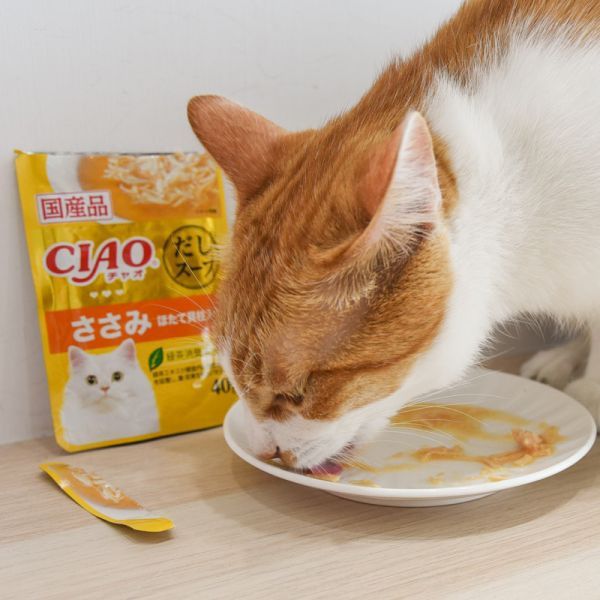 【活動贈品】CIAO巧餐包 