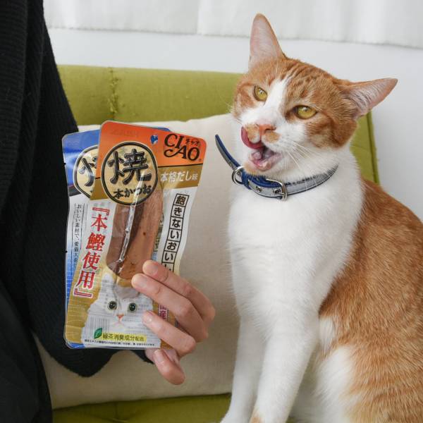 日本CIAO魚柳條 30g 紜薇做活動扣80條
96-80=13
