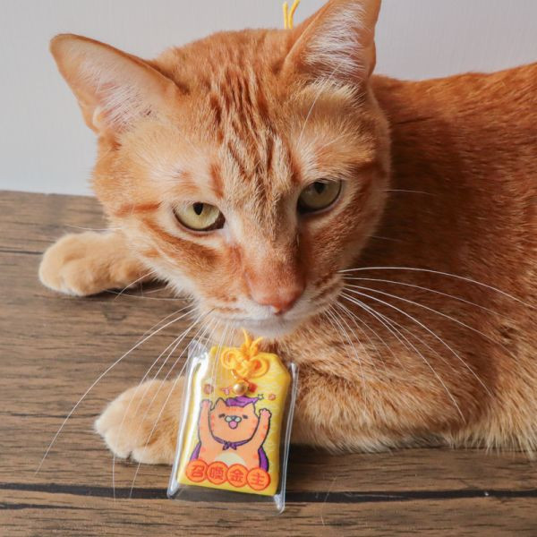 【帕克與他的小夥伴】ParkCat貓樂園原創御守平安符 *不限金額隨機送1個* 