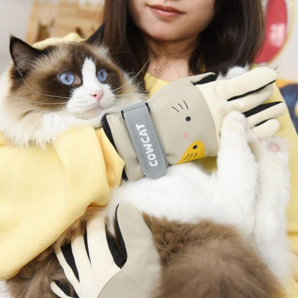 【貓奴保暖必備】可愛小貓加絨保暖防風手套 共兩款 