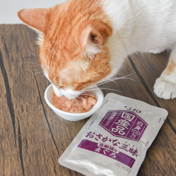 【活動贈品】CIAO豪華九州雞肉餐包 *送8袋 口味隨機* 