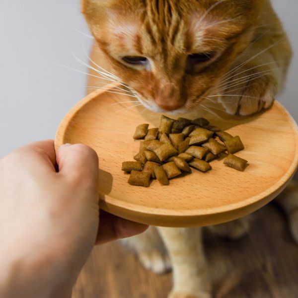 【專為貓貓打造】貓咪小點心 機能夾心餡餅 