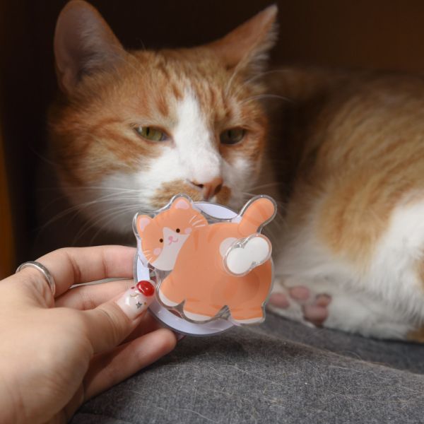 【屁屁來支援】翹屁股橘貓磁吸手機支架 