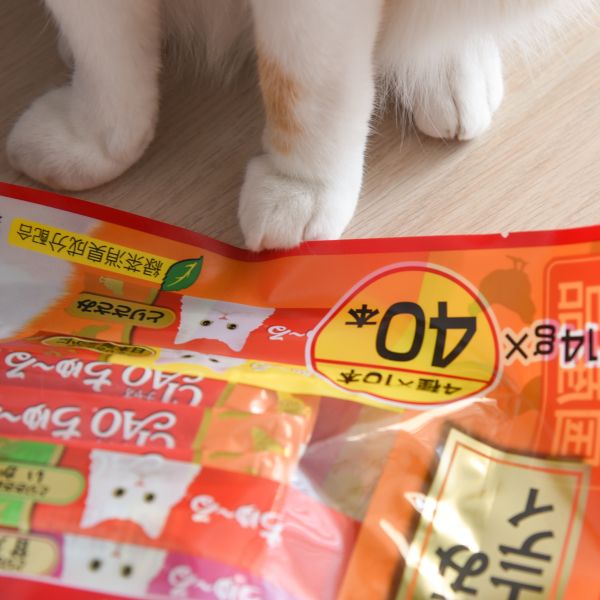 【活動贈品】CIAO肉泥 一袋40入 