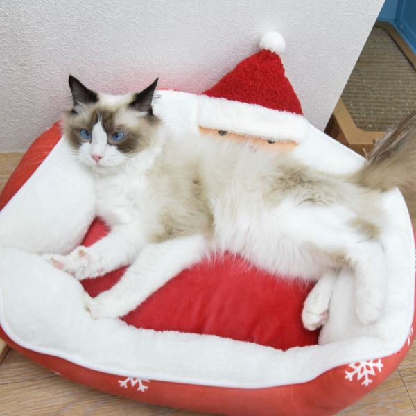 【聖誕限定】聖誕寵物貓窩 