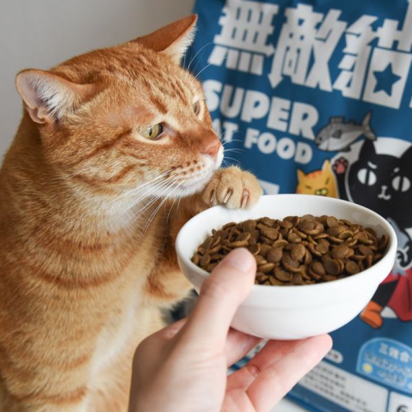 【豐富Omega-3 DHA EPA】大洋鮮極魚 適口性爆好 三效合一保健 補足不易取得營養  ParkCat無敵貓糧 天然無穀低碳貓糧(全齡貓) 貓飼料 貓糧,貓飼料,魚,在地飼養野放雞,提升免疫力,AAFCO,HACCP,飼料,貓飼料,寵物保健,營養,天然無榖貓糧,獸醫,適口性,健康貓糧,貓糧成分,無穀物貓糧,貓糧營養成分

無穀貓飼料
無穀貓糧
幼貓飼料
幼貓飼料推薦
老貓飼料
老貓飼料推薦
天然貓飼料
挑嘴貓飼料
貓不吃飼料
全齡貓
貓乾糧
低碳水貓飼料
高蛋白貓飼料
純肉貓飼料
全魚貓飼料