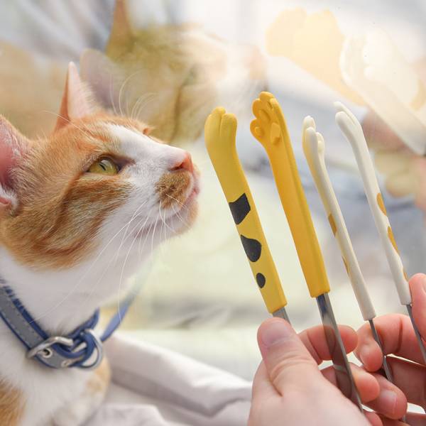 【萌萌腳幫你夾】貓爪夾 小46
中87
大102