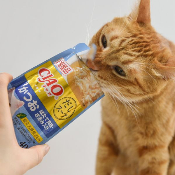 【活動贈品】CIAO巧餐包 