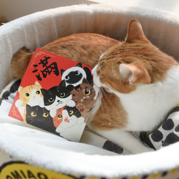 【ParkCat獨家原創設計】春聯貼紙 共11+2款 