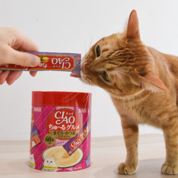 【限量超低價】日本CIAO60入肉泥桶 