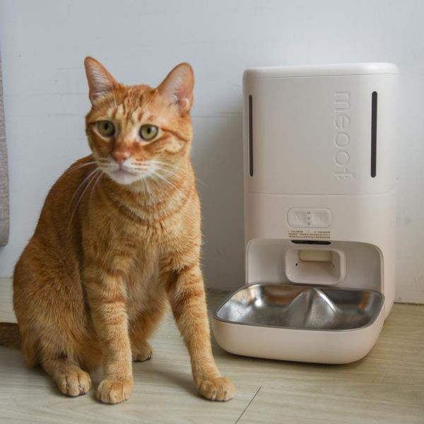 【最佳餵食小管家】meoof慕斯智能餵食器 視訊版 自動餵食機 飼料機 