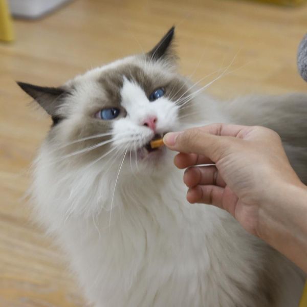 【QQ夾心太犯規】Bite me肉泥QQ夾心餅 