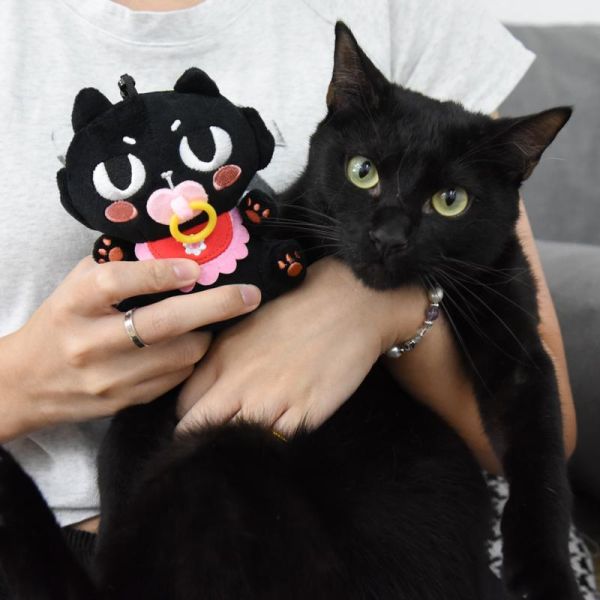 新品優惠82折起【帕克與他的小夥伴】ParkCat原創IP玩偶娃娃-寶寶系列 鑰匙圈 