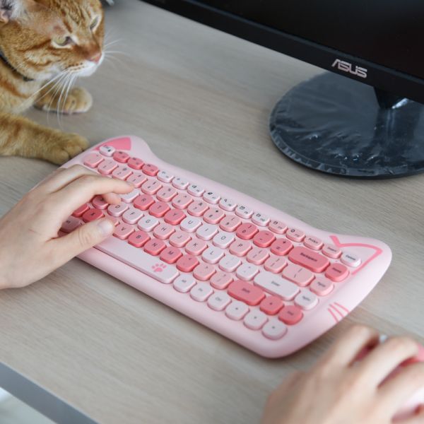 【上班族的小確幸】貓咪鍵盤滑鼠組 共四款 成本552
