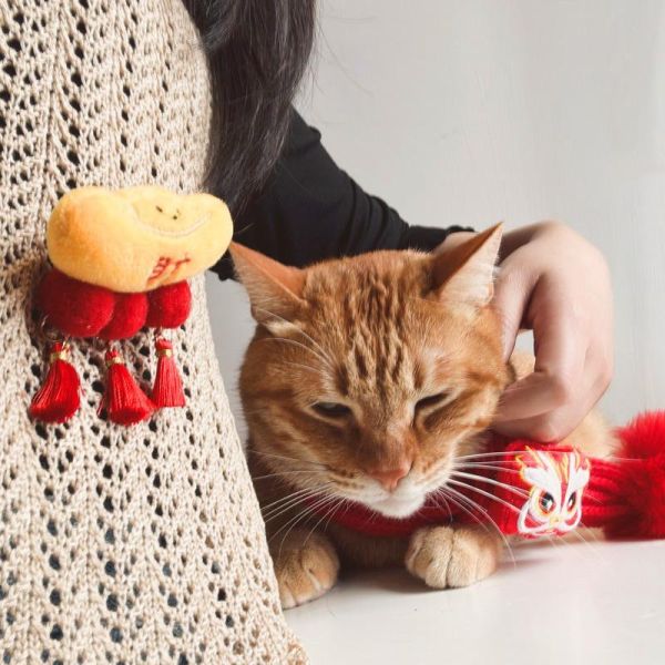 【主子的過年儀式感】寵物新年針織圍巾 