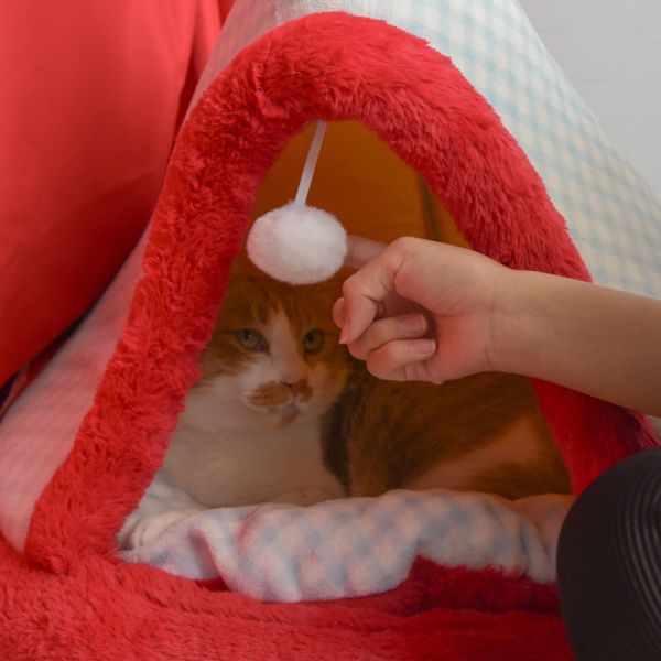 【四季都好眠】蘋果樹帳篷寵物貓窩 