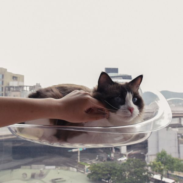 【當主子睡在雲上】雲朵懸浮貓吊床 