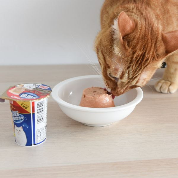 日本CIAO肉泥杯 布丁杯 原22個
新增288個