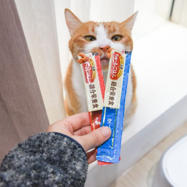 *活動贈品* CIAO綜合營養主食功效肉泥60入 