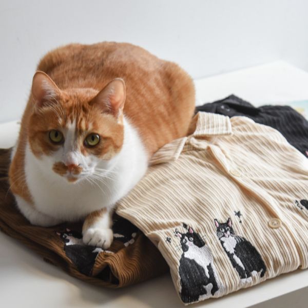 【日常又百搭】復古刺繡貓咪燈芯絨襯衫 共三色 