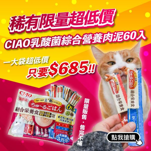 *最後4包 CIAO 乳酸菌 綜合營養主食功效肉泥60入 