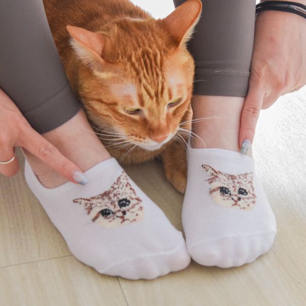 【喵星人伴腳步】韓系貓頭隱形短襪 五色一組 